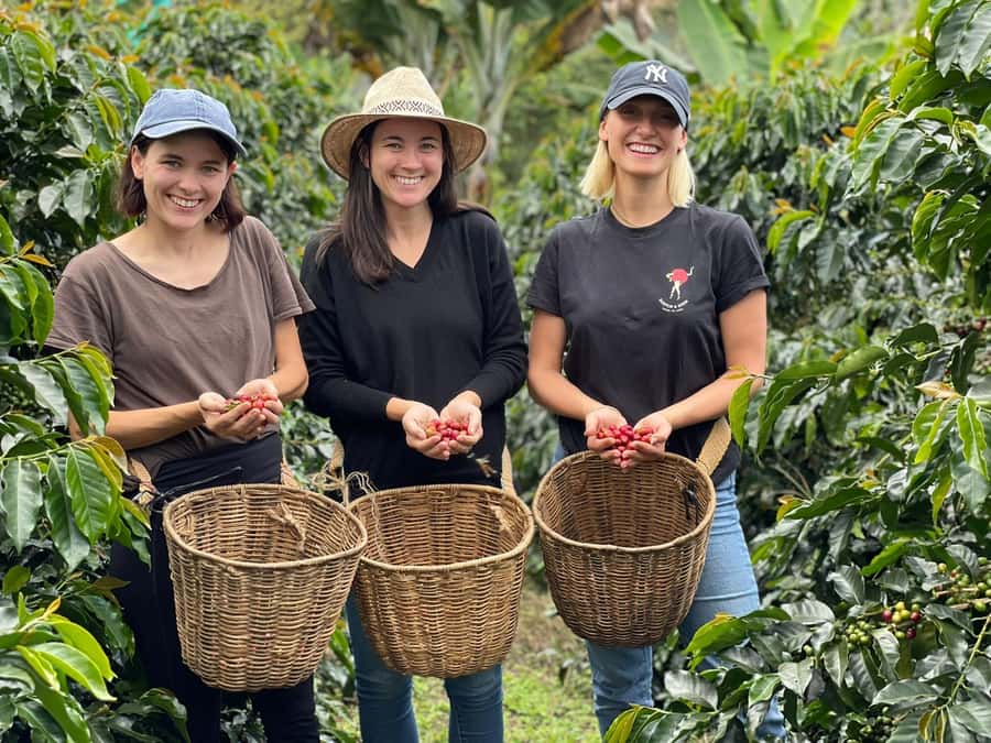 From Bogota: 5 hour guided coffe farm tour - All included - Breakfast to farm meeting: why the farmer part matters