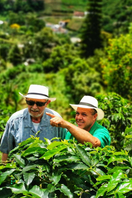 From Bogota: 5 hour guided coffe farm tour - All included - What to bring for a smooth coffee-farm day