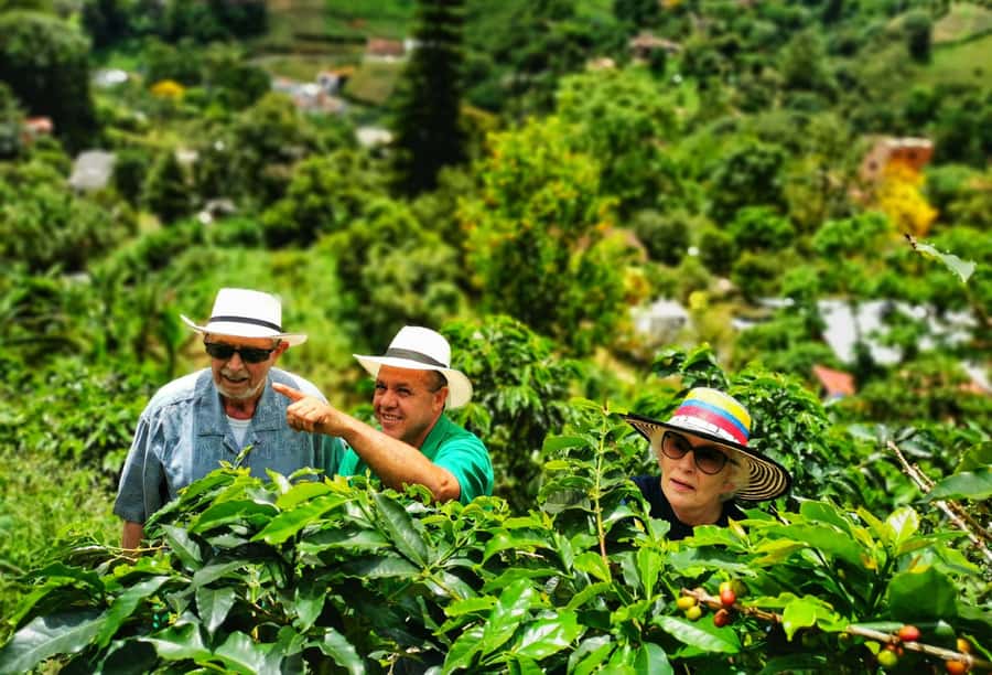 From Bogota: 5 hour guided coffe farm tour - All included - Getting to Ubaque: the ride, the altitude shift, and your first fueling stop