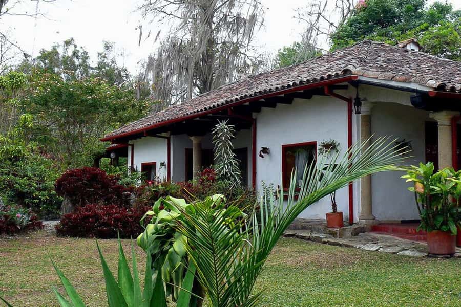 From Bogotá: Coffee Farm Experience Private Day Tour - Bogotá to Hacienda Coloma: what this private day really feels like