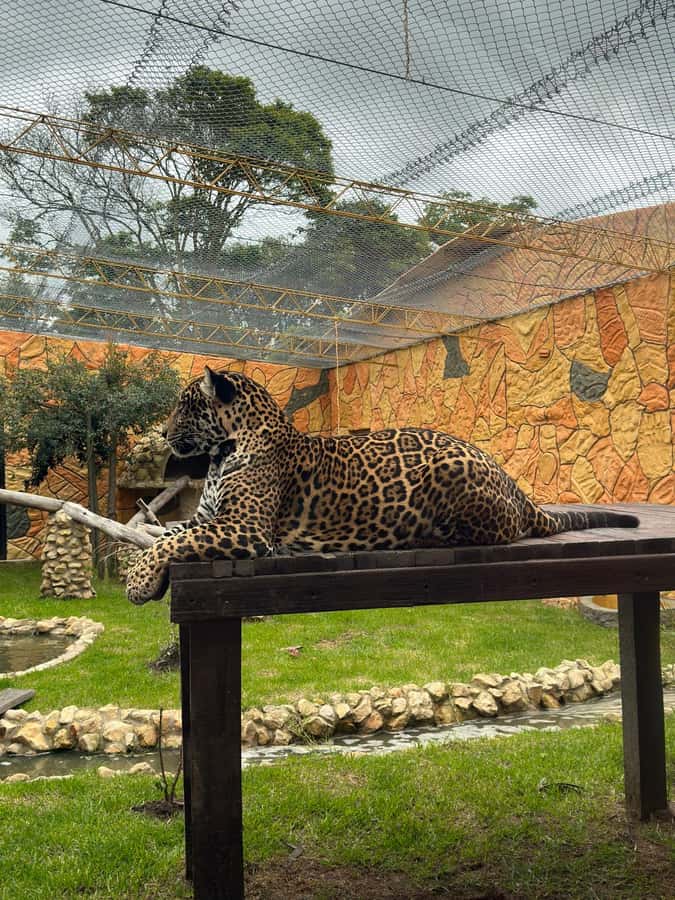 From Bogota: Jaime Duque Park and zoo with ticket included - Taj Mahal replica: the quick wow factor