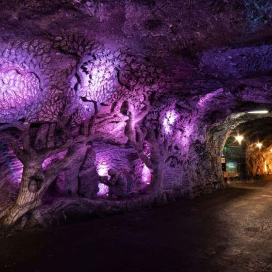From Bogota: Salt Cathedral Tour in Zipaquirá - Key highlights to look for
