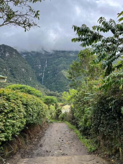 FROM BOGOTA: Tour to La Chorrera, Colombia's highest waterfall. - The 3-Hour Guided Hike: Trails, Wildlife Viewing, and the Pace You Need