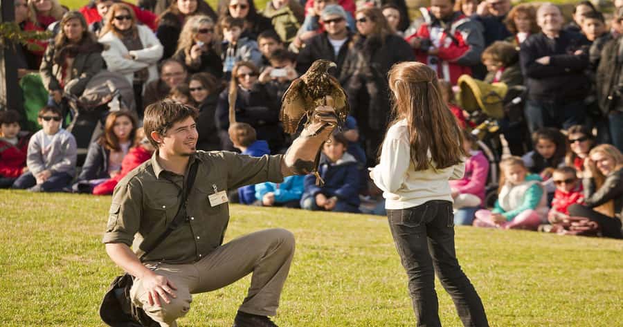 From Buenos Aires: Full-Day Temaiken Eco Park - Your 6 hours: how to pace the park without getting lost