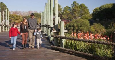 From Buenos Aires: Full-Day Temaiken Eco Park - Inside Temaiken: what the biopark setup means for your visit