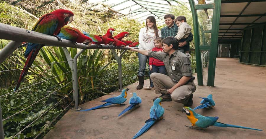 From Buenos Aires: Full-Day Temaiken Eco Park - Price and value: is $150 worth your time?
