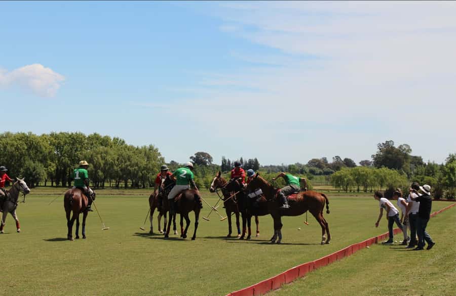 From Buenos Aires: Polo Match, Lesson, and BBQ Day-Trip - Key highlights to look forward to