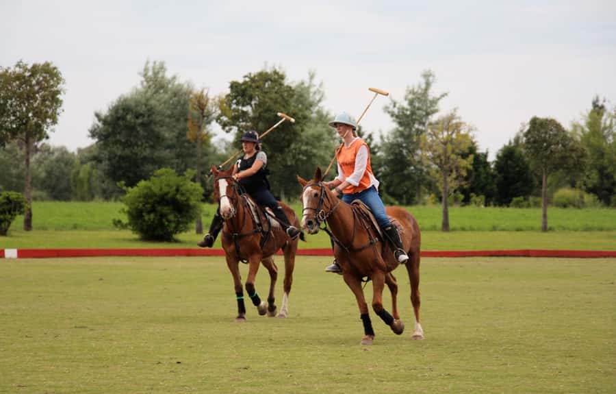 From Buenos Aires: Polo Match, Lesson, and BBQ Day-Trip - From Buenos Aires to the Campo: How the Day Trip Really Flows
