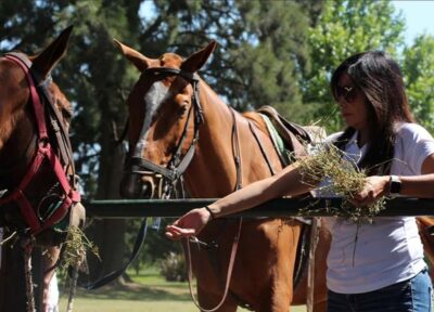 From Buenos Aires: Polo Match, Lesson, and BBQ Day-Trip - Arrival at the Estancia: Empanadas, Premium Wine, and a Real Welcome