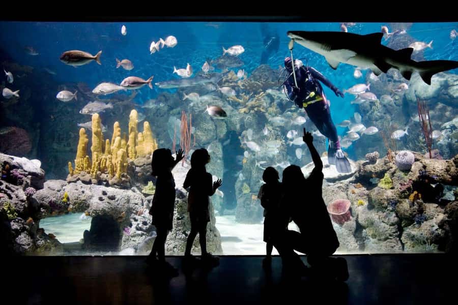 From Buenos Aires: Temaiken Zoo Tour with Ticket Included - The 360-Degree Cinema: Why the Park Adds Meaning