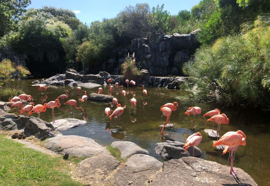 From Buenos Aires: Temaiken Zoo Tour with Ticket Included - The Aquarium: Water Worlds Made for Visitors (and Animals)