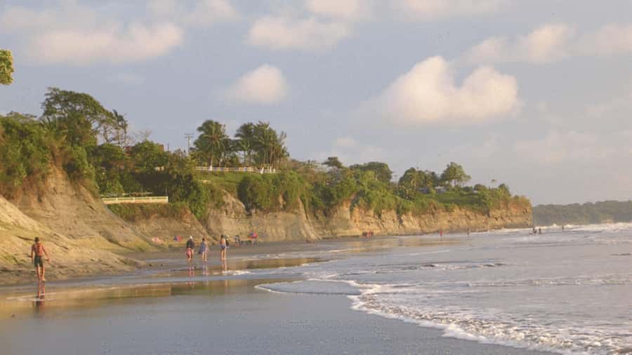 From Cali: Whale Watching Day Trip in Buenaventura - Cali to Dagua Breakfast: the scenic warm-up before the ocean