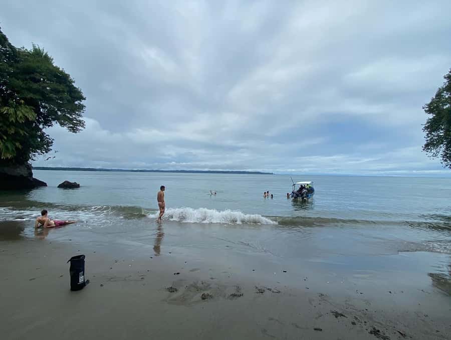 From Cali: Whale Watching Day Trip in Buenaventura - Speedboat to Juanchaco and the safety briefing that actually helps
