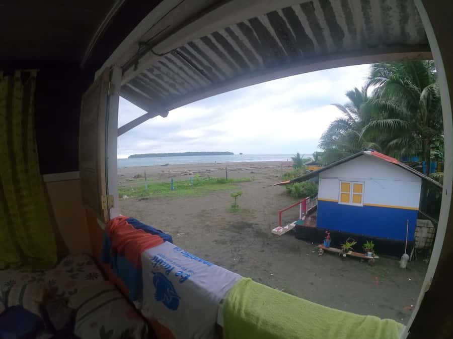From Cali: Whale Watching Day Trip in Buenaventura - Juanchaco lunch and Viche: Pacific flavors after the whales
