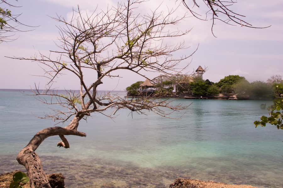 From Cartagena: Rosario Islands Day Trip - Isla del Sol: the private-island setup that changes the whole mood
