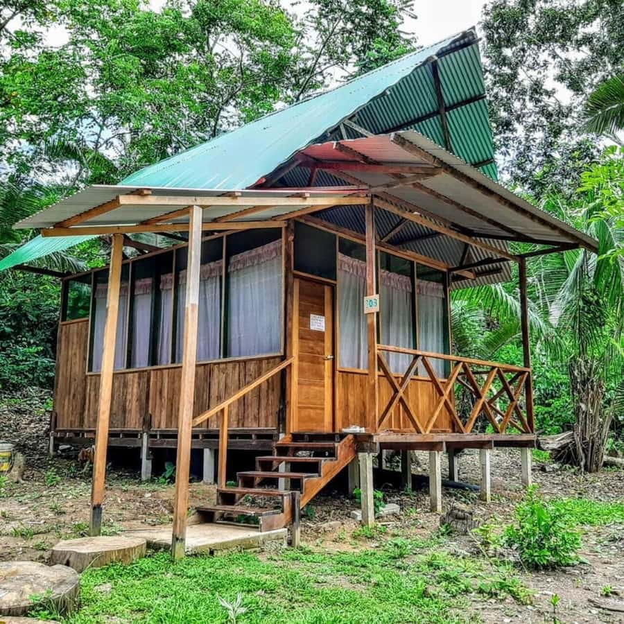 From Cusco: Amazon jungle for two days with sleeper bus and private lodge - Sandoval Lake Paddling: Wildlife on the Water (and the Otter Factor)