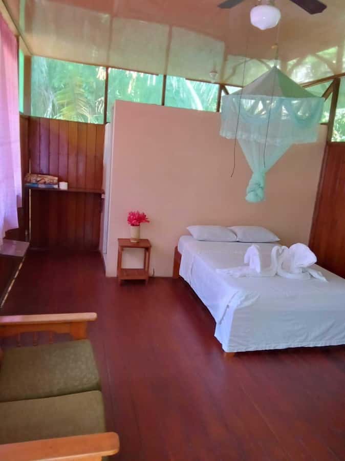 From Cusco: Amazon jungle for two days with sleeper bus and private lodge - Food, Comfort, and Daily Rhythm: Meals You’ll Actually Eat