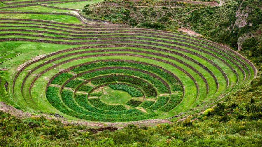 From Cusco: Chinchero Weavers, Moray, Maras Salt Mines Tour - Maras Salt Mines: 3,500+ ponds still doing their job