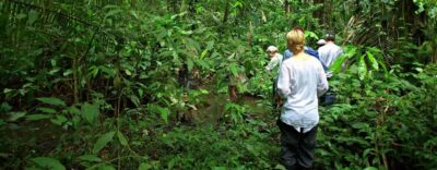 From Cusco: Manu National Park 3 Day Tour - Day 1 From Cusco to Paucartambo: Lupaca Tombs and Cloud-Forest Bird Life