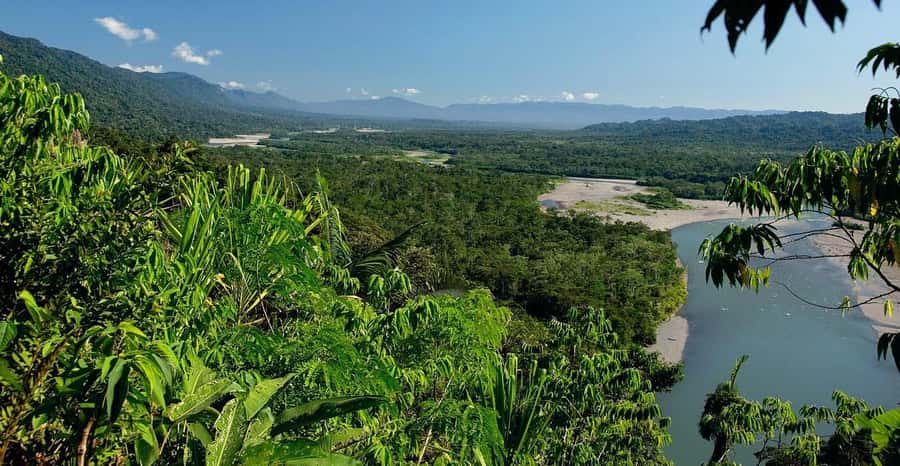 From Cusco: Manu National Park 3 Day Tour - Who This Tour Fits Best (and Who Should Skip It)