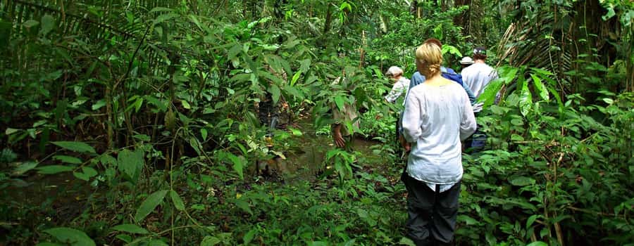 From Cusco: Manu National Park 3 Day Tour - Day 1 From Cusco to Paucartambo: Lupaca Tombs and Cloud-Forest Bird Life