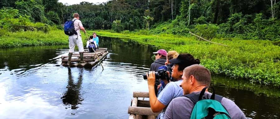 From Cusco: Manu National Park Tour & Accommodation 3 Days - Day 2: Alto Madre de Dios River, Machuhuasi Oxbow Channels, and Caimans by Boat