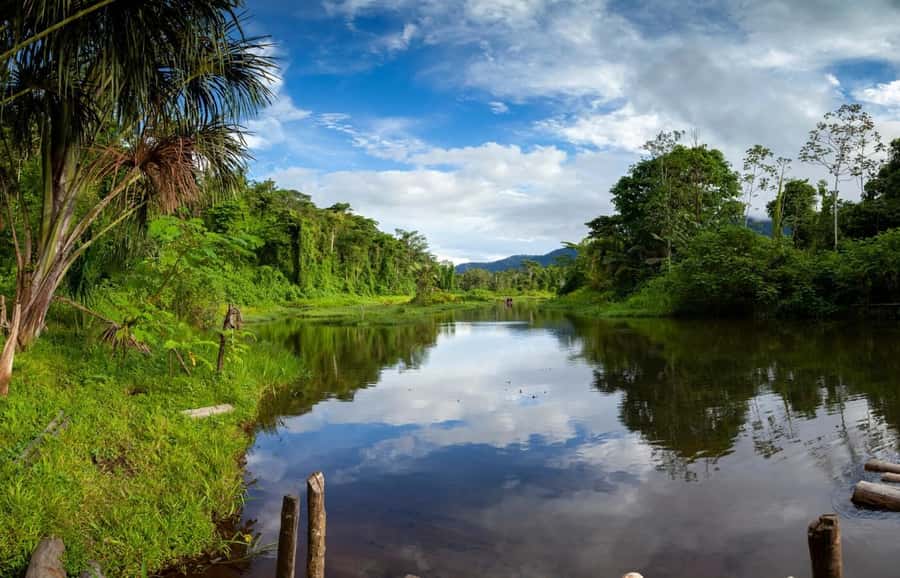 From Cusco: Manu National Park Tour & Accommodation 3 Days - Wildlife Odds: How This Itinerary Stacks Up in Real Terms