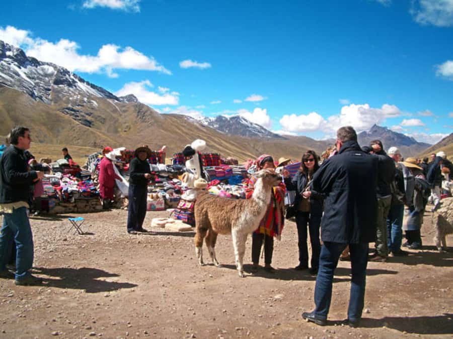 From Cusco: Puno and Uros Islands 2-Day Trip - What You Get for the Price: Value Check at $209 Per Person