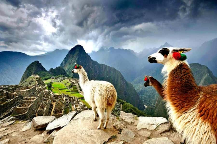 From Cusco:MachuPicchu Excursion 1 day plus Ticket and Train - Quick takeaways