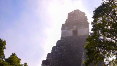 From Flores: 2-Day Tikal & Yaxhá Tour - Day 1 at Tikal: from airport pickup to Complex Q and R