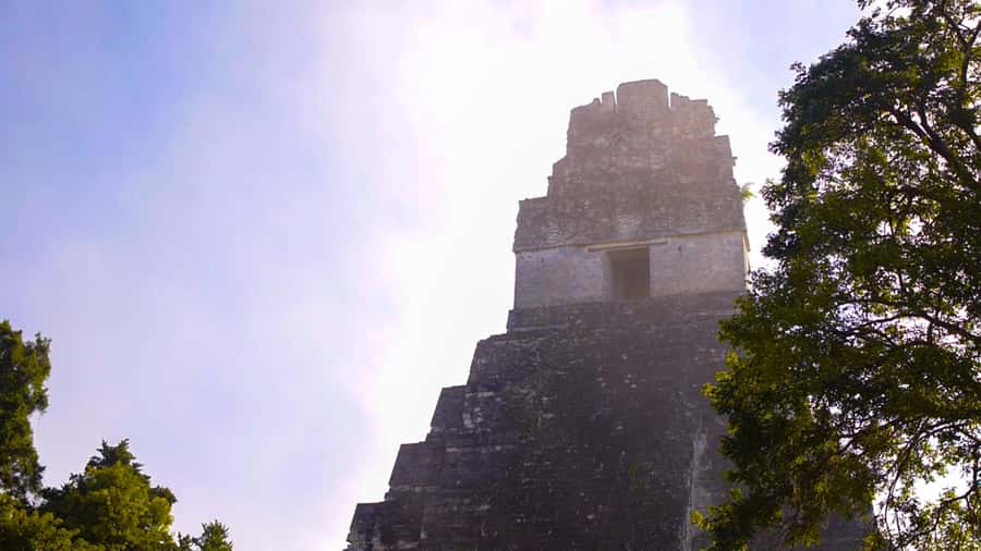 From Flores: 2-Day Tikal & Yaxhá Tour - Day 1 at Tikal: from airport pickup to Complex Q and R