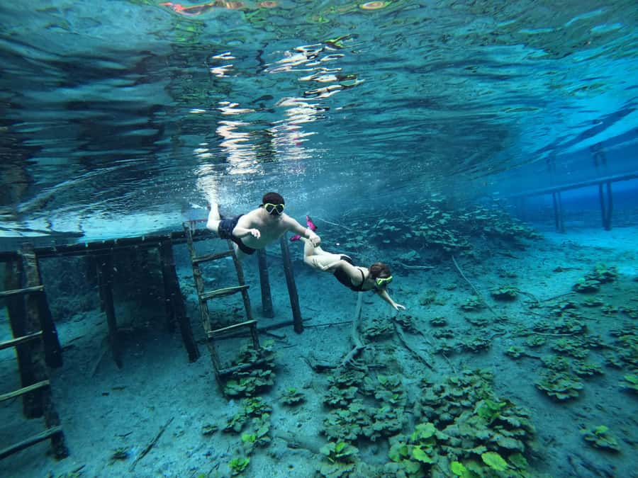 From Flores: Blue Crater Adventure All Inclusive - Key points worth knowing