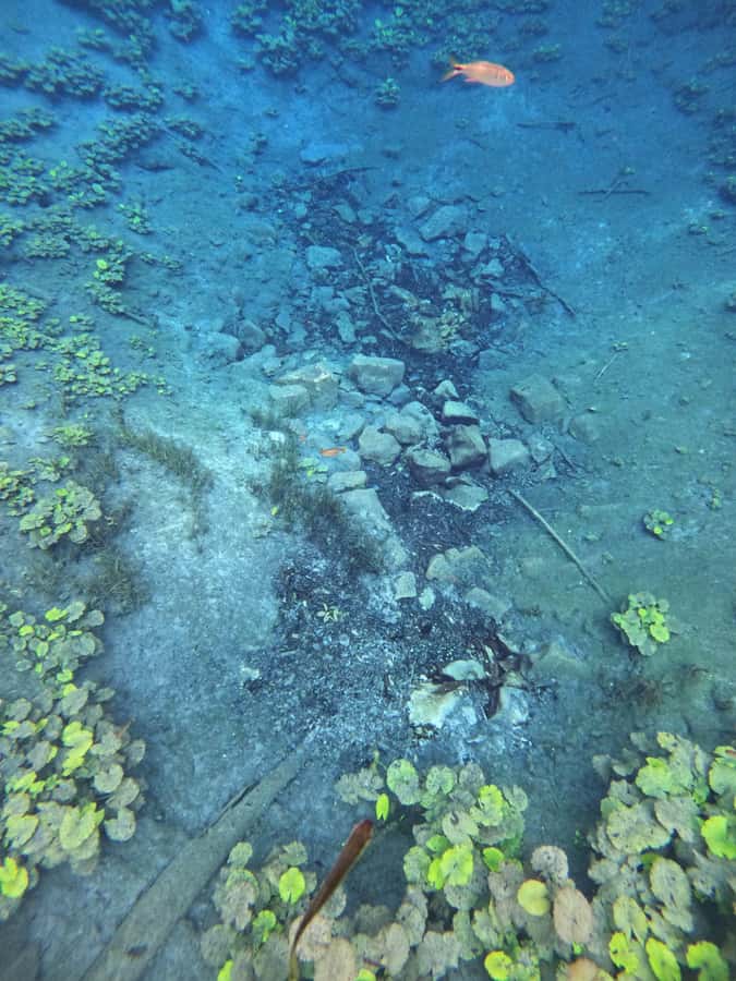 From Flores: Blue Crater Adventure All Inclusive - Who This Tour Suits Best (and Who Should Skip It)
