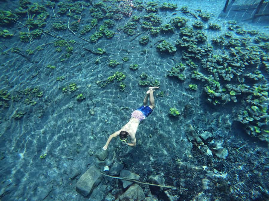 From Flores: Blue Crater Adventure All Inclusive - Price and Value: Is $155 Worth It?
