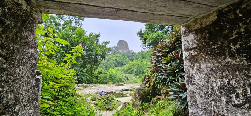 From Flores Guided Tour to Tikal with transportation + lunch - The 75% Tikal route: Temple 4, the Ceiba tree, and the big plazas