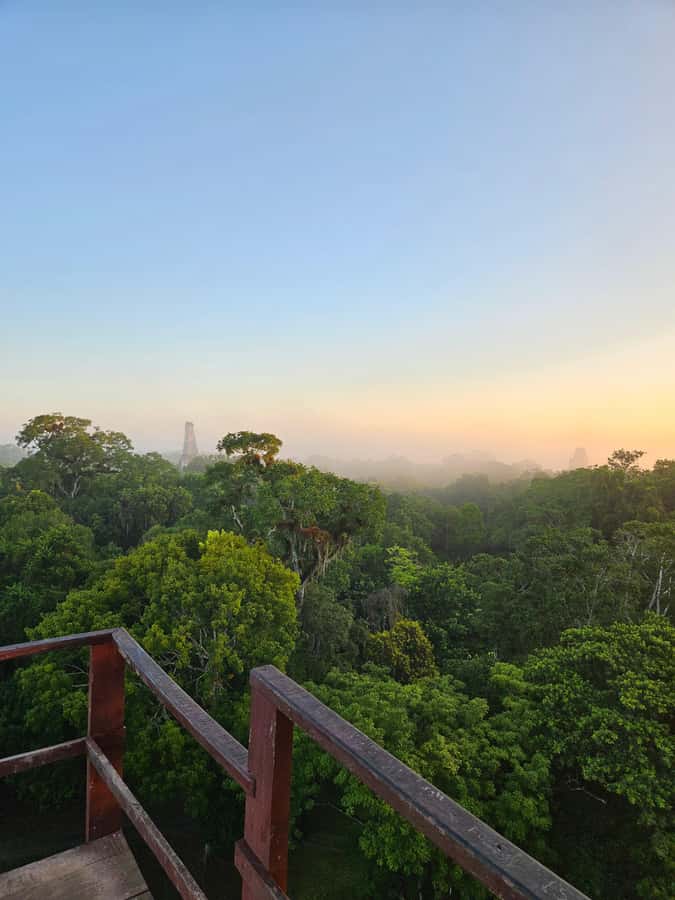 From Flores: Tikal National Park All Inclusive - Key highlights worth your time