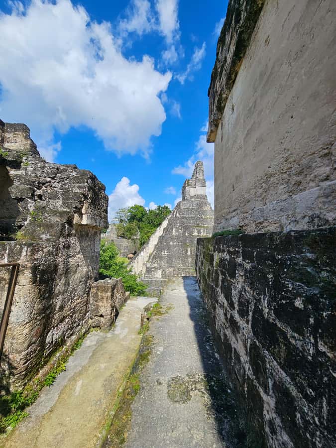 From Flores: Tikal National Park All Inclusive - From Flores to Tikal: the parts that reduce stress