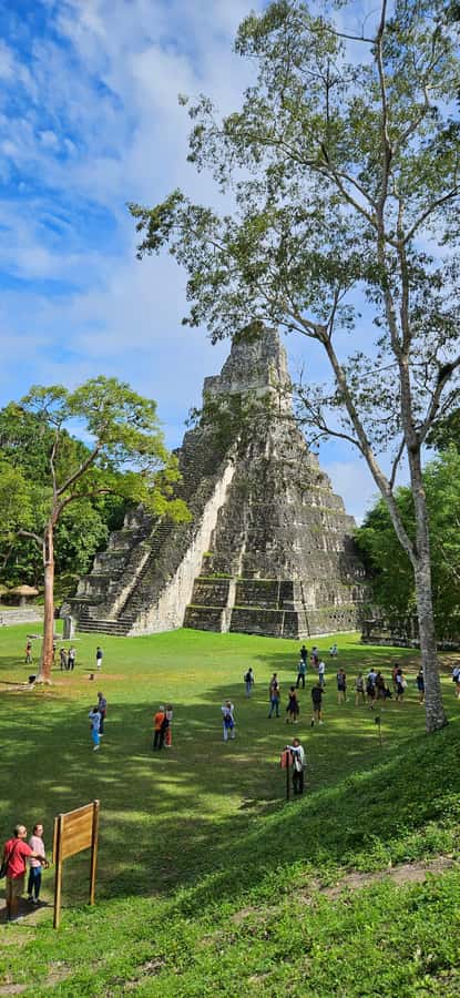 From Flores: Tikal National Park All Inclusive - Getting into Tikal faster: skip the ticket line