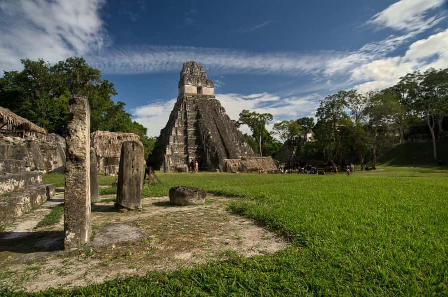 From Flores: Tikal Ruins Sunrise Guided Tour - The 1-Hour Break: Regroup, Reset, and Handle Snacks