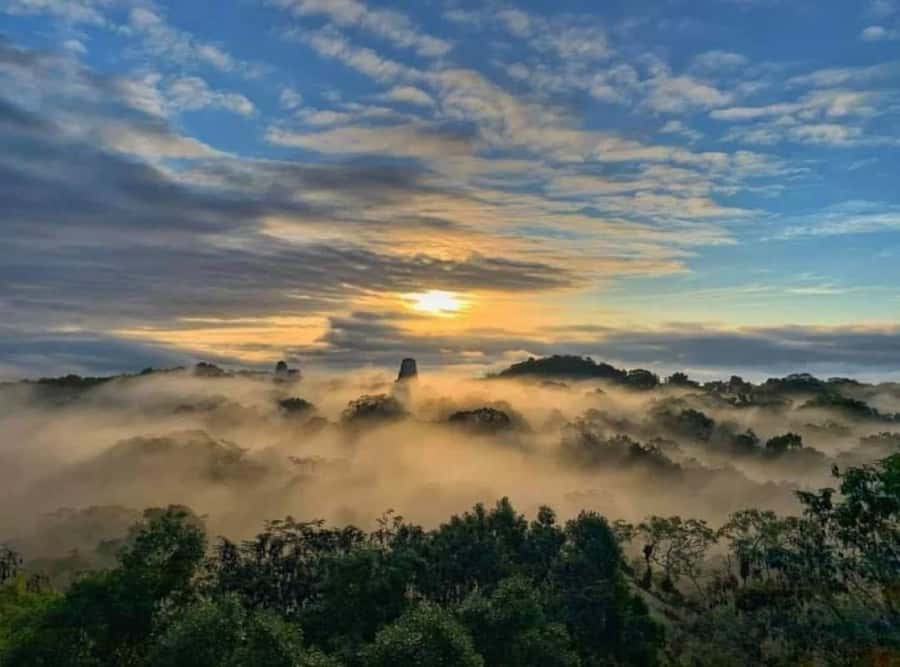 From Flores: Tikal Sunrise Extended Private Tour - Key things that make this tour worth your time