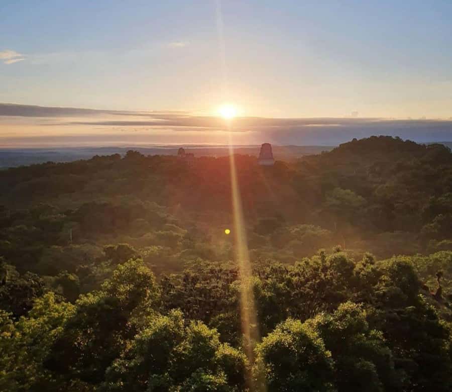 From Flores: Tikal Sunrise Extended Private Tour - 3:00 am pickup from Flores or El Remate