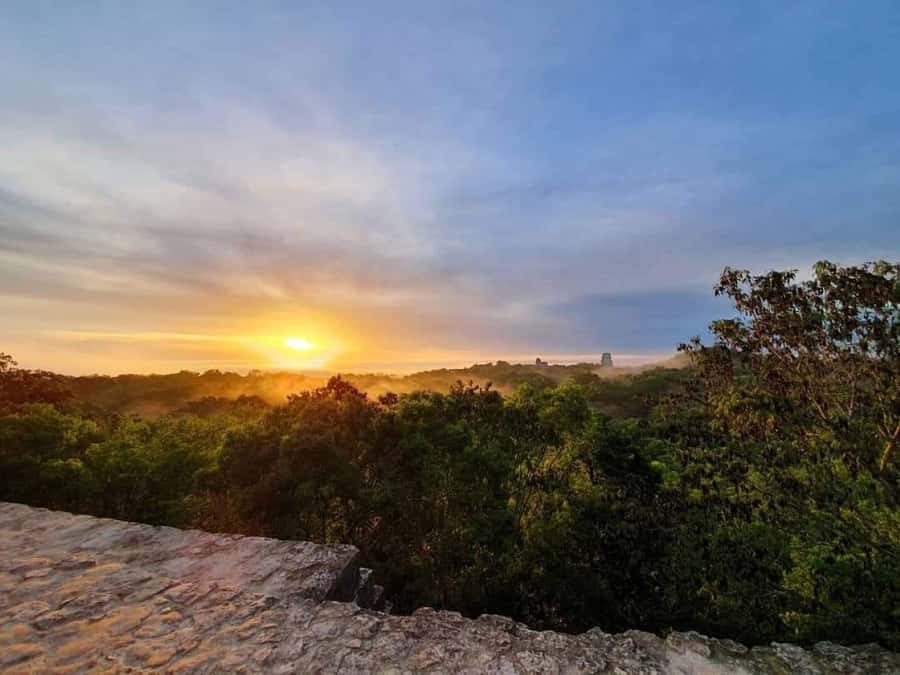 From Flores: Tikal Sunrise Extended Private Tour - Climbing Temple IV and watching Kinich Ahaw rise