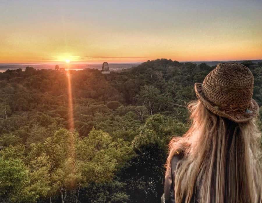 From Flores: Tikal Sunrise Extended Private Tour - The drive to Tikal, then a 40-minute hike to Temple IV