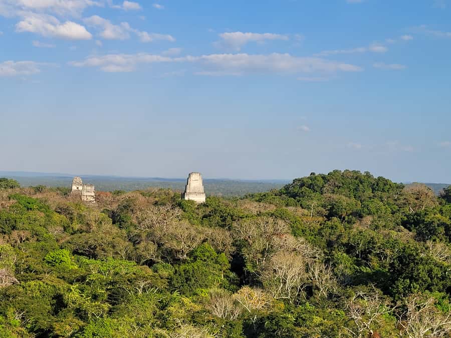 From Flores: Tikal VIP Exclusive cultural Tour All inclusive - Who should book this Tikal VIP Exclusive cultural Tour?