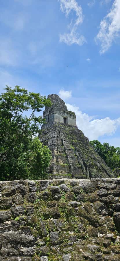 From Flores: Tour Tikal All Inclusive - Flores to Tikal: 7 Hours That Actually Works as a Day Trip