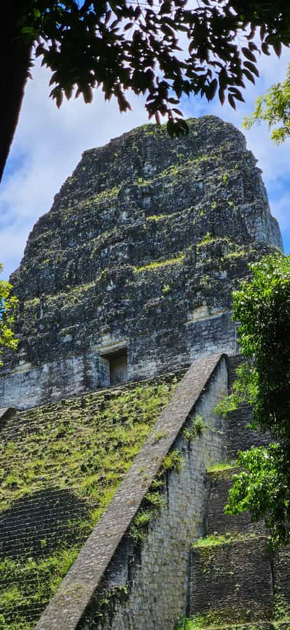 From Flores: Tour Tikal All Inclusive - Price and Value: What the $108 Covers (and What It Doesn’t)