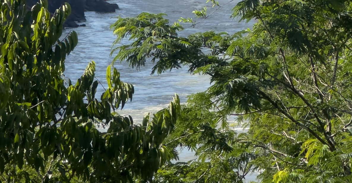 from Foz do Iguaçu: Private Tour on Argentinean Falls - Boat Cruise Time: Optional, But It’s the Wet-Weather Bonus