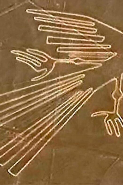 From Ica: Flight over the Nazca Lines - Motion sickness and comfort: how to make the most of a short flight