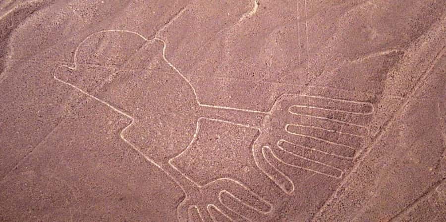 From Ica or Huacachina: Flight Tour Nazca Lines | Overflight - The overflight plan: small planes, window seats, and a tight timeline
