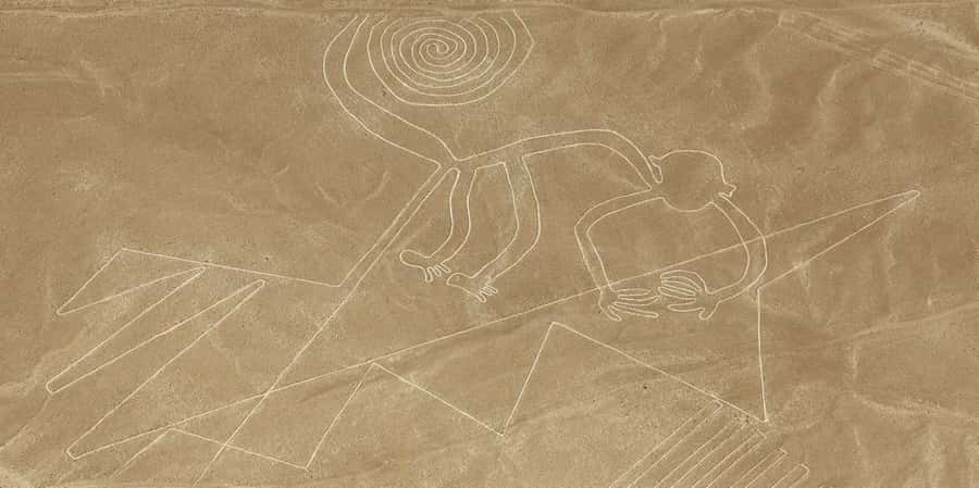 From Ica or Huacachina: Flight Tour Nazca Lines | Overflight - Hotel pickup to Nazca: the easy start that sets the tone